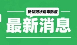 最新爆料模板大全图片,图片背后的秘密与趋势解析